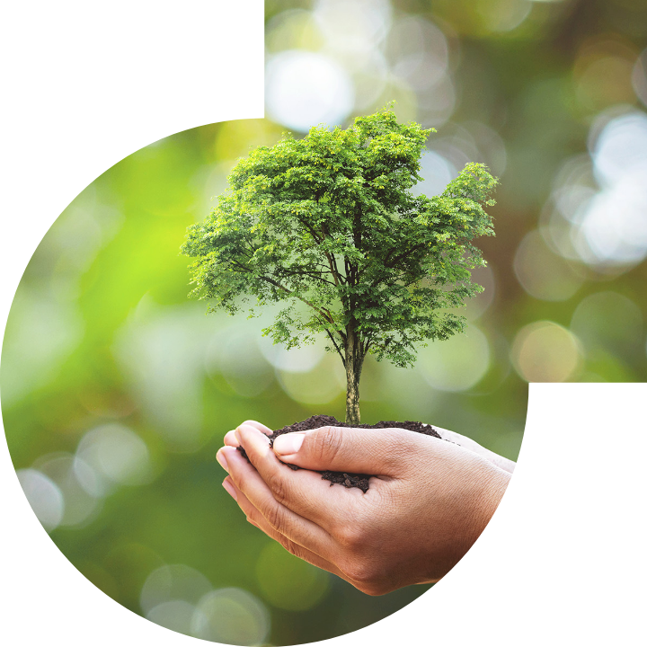 关怀人类、文化、环境与社会